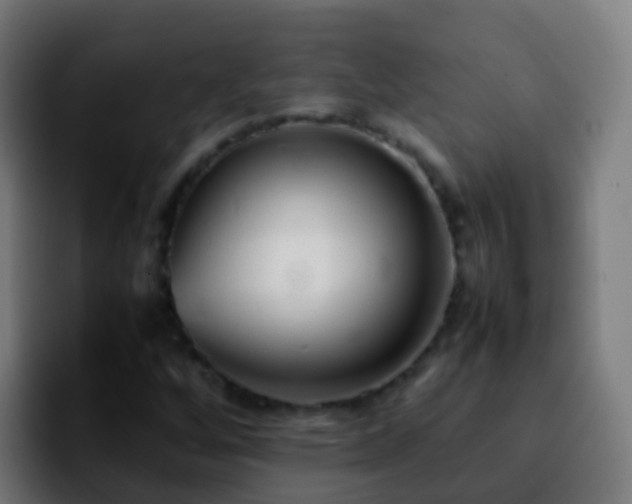 X0000092251256200709211055