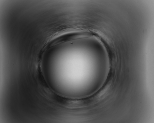 X0000092251257200709211055