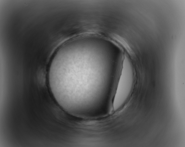 X0000092251260200709211055
