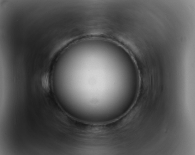 X0000092251262200709211055