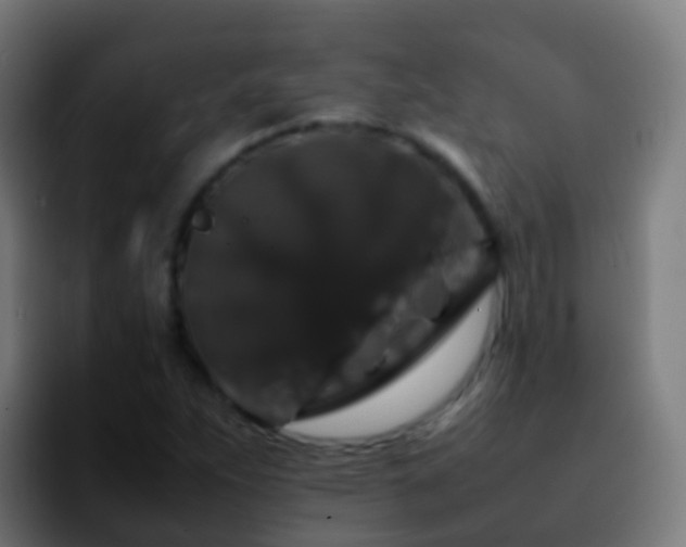 X0000092251263200709211055