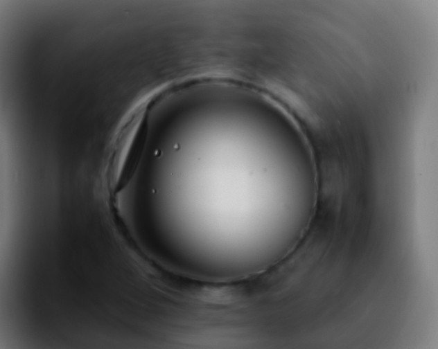 X0000092251264200709211055