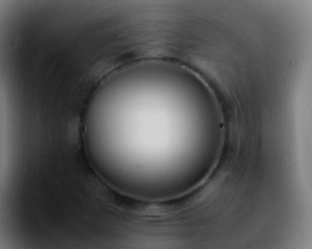 X0000092251265200709211055