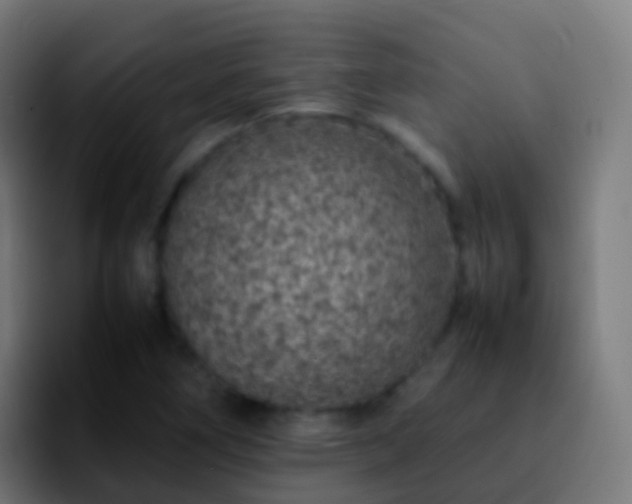 X0000092251266200709211055