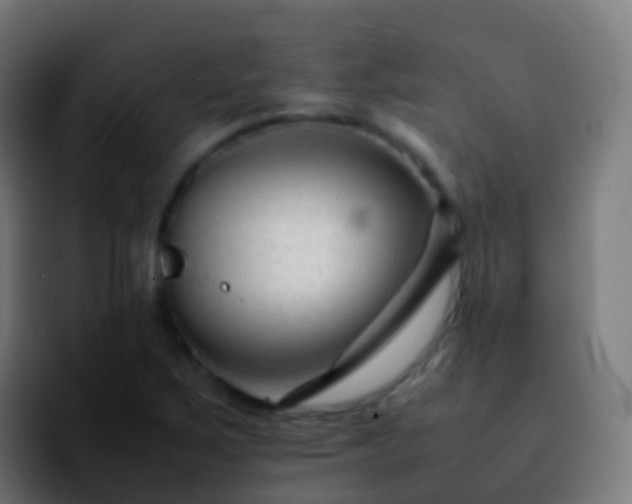 X0000092251267200709211055
