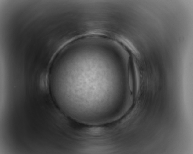 X0000092251268200709211055