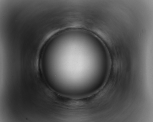 X0000092251270200709211055