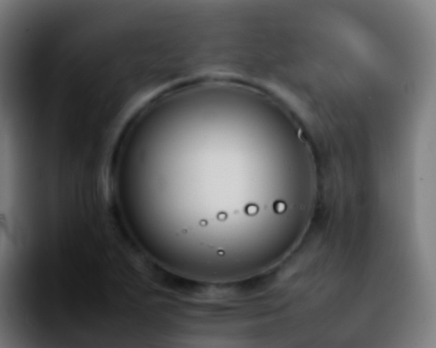 X0000092251271200709211055