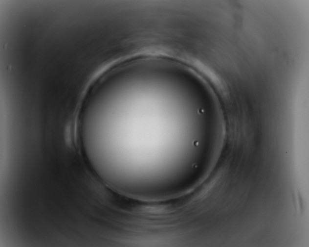 X0000092251272200709211055