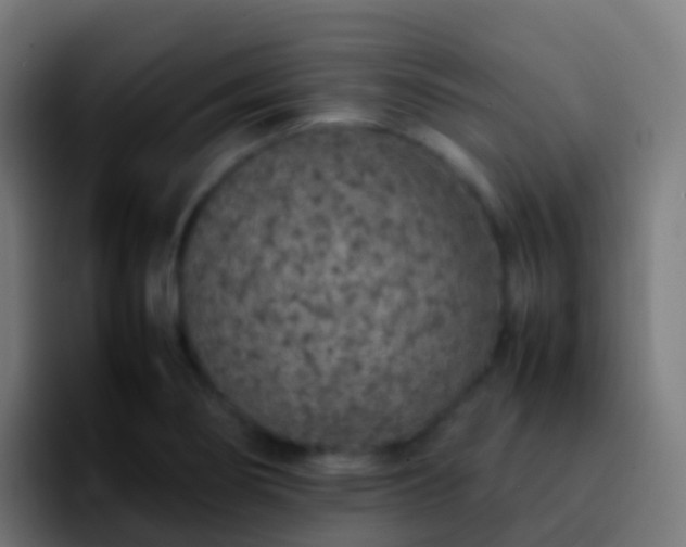 X0000092251274200709211055