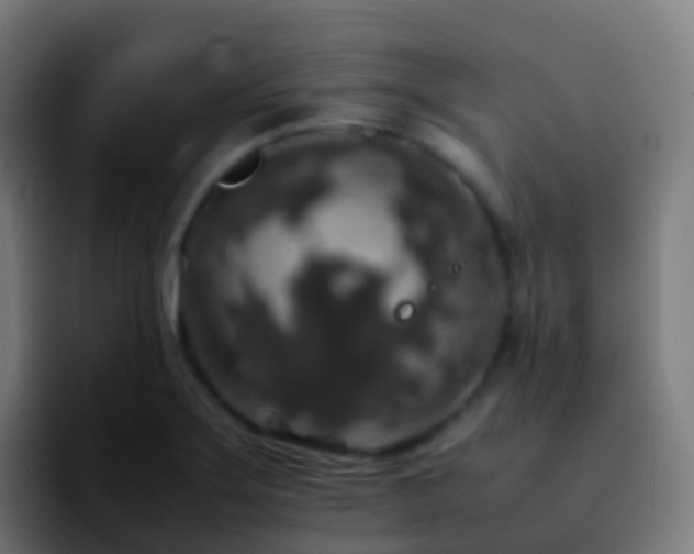 X0000092251275200709211055