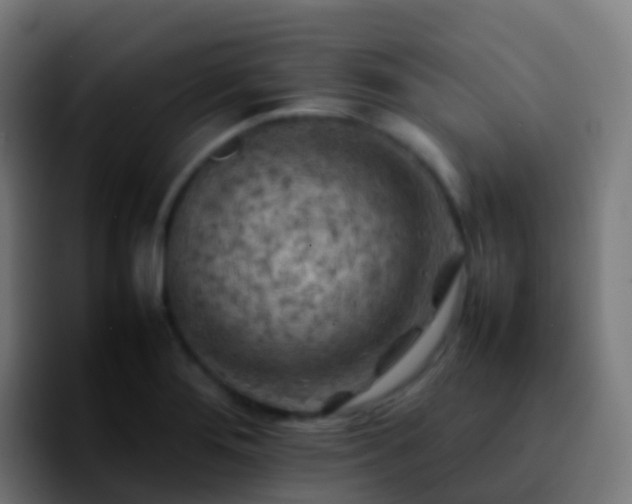 X0000092251276200709211055