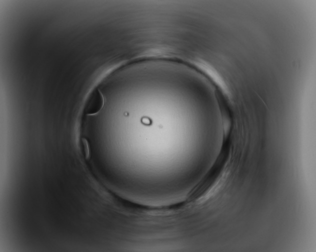 X0000092251277200709211055
