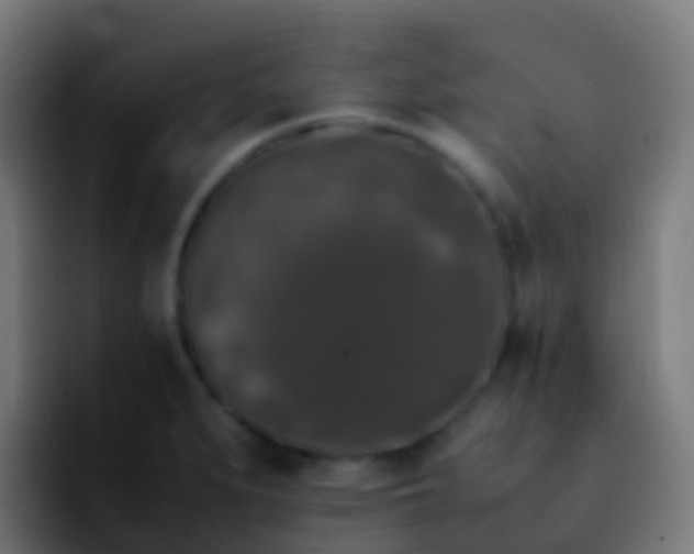 X0000092251279200709211055