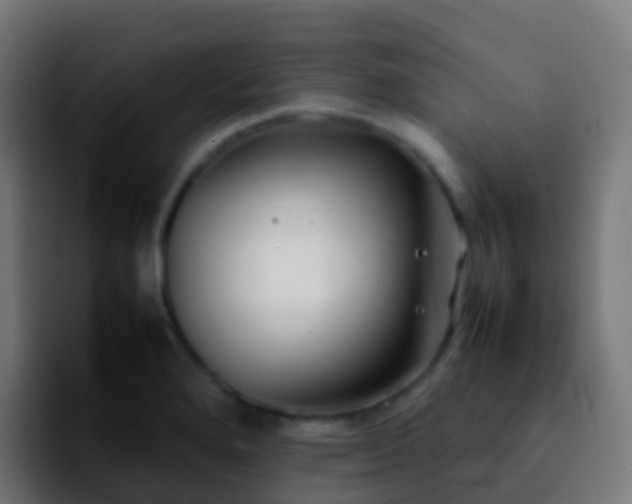 X0000092251280200709211055