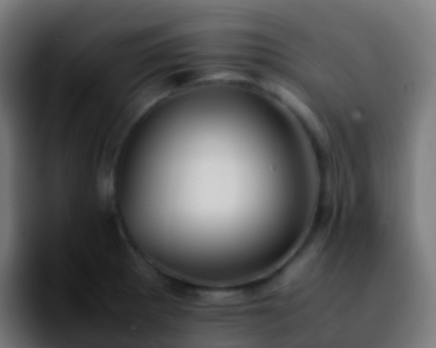 X0000092251281200709211055