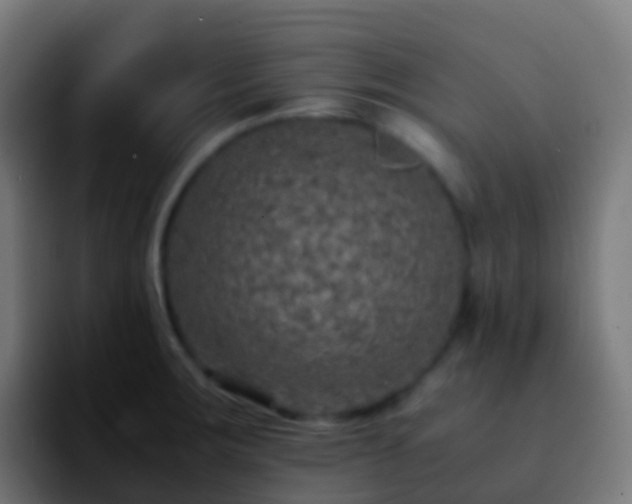 X0000092251283200709211055