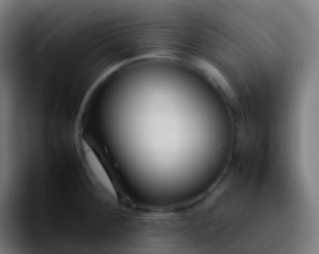 X0000092251284200709211055