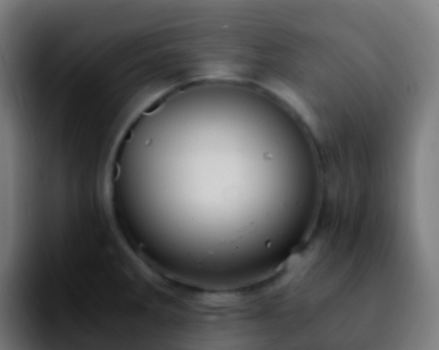 X0000092251285200709211055