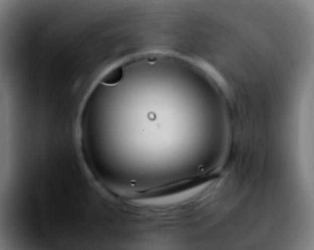 X0000092251287200709211055