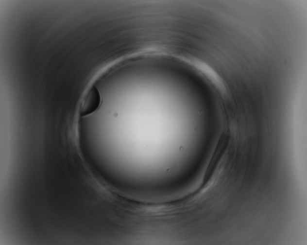 X0000092251288200709211055