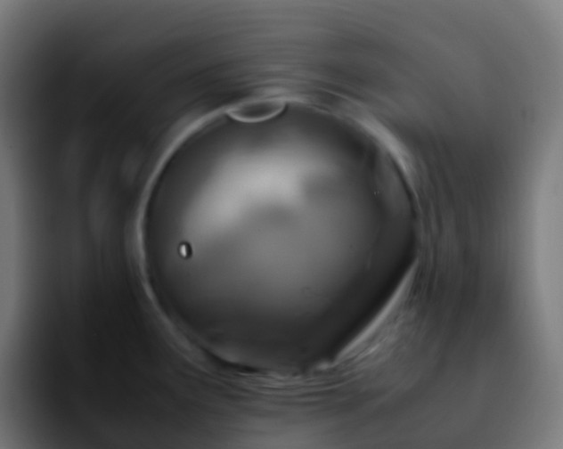 X0000092251291200709211055