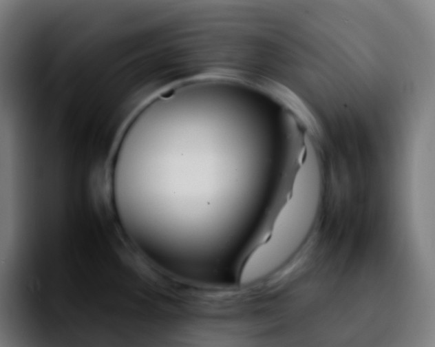 X0000092251292200709211055