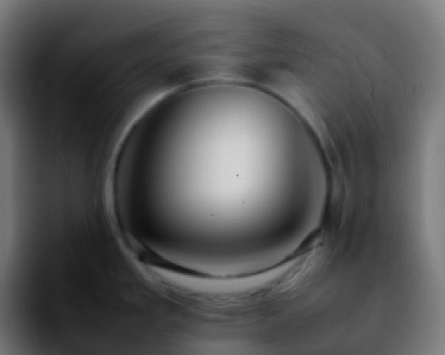 X0000092251293200709211054
