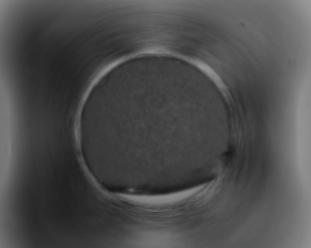X0000092251295200709211054