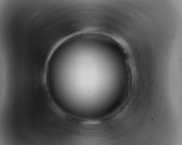 X0000092251296200709211054