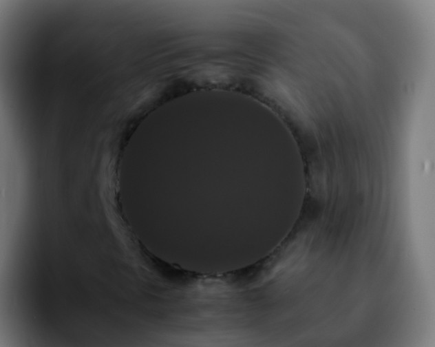 X0000092251297200709211054