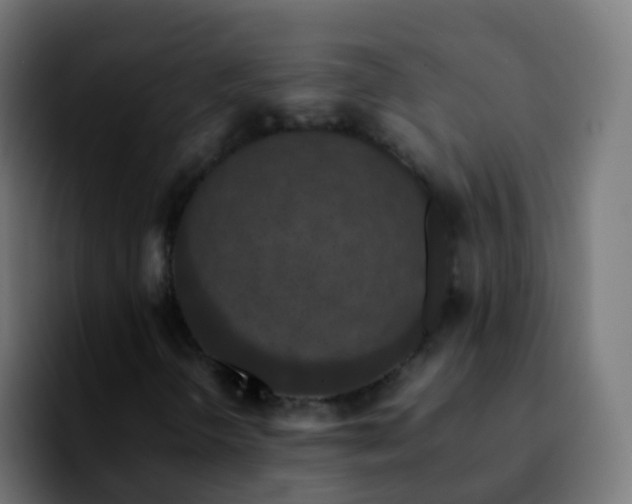 X0000092251298200709211054