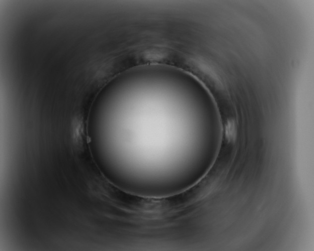 X0000092251299200709211054