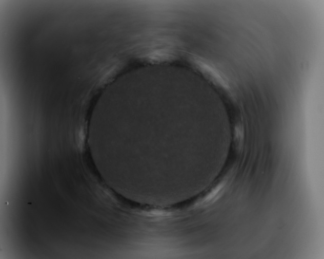 X0000092251300200709211054