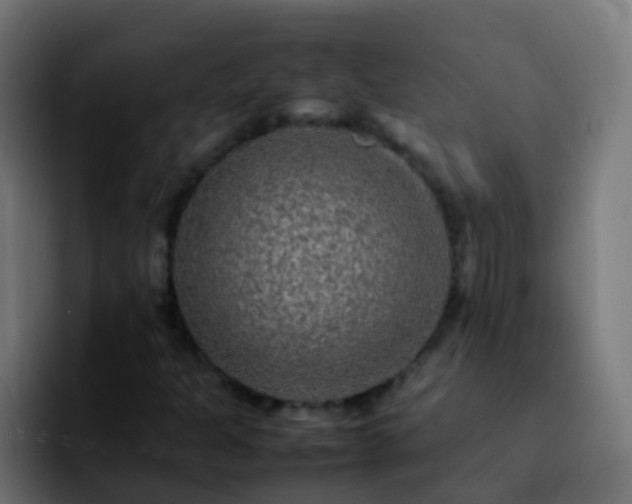 X0000092251301200709211054