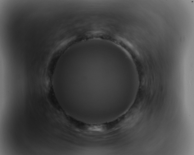 X0000092251303200709211054