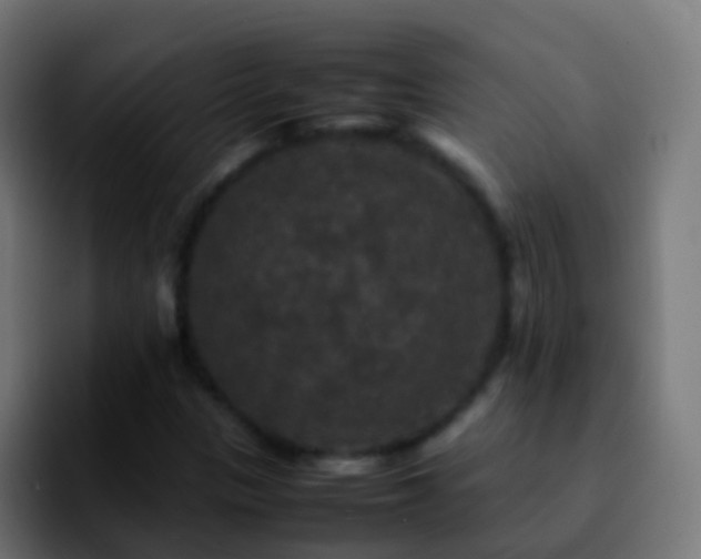 X0000092251305200709211054