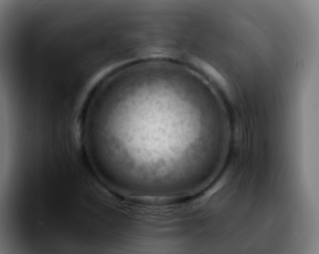 X0000092251310200709211054