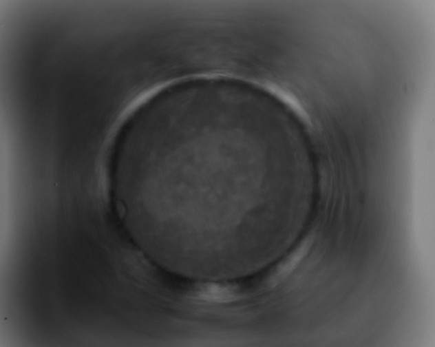 X0000092251311200709211054