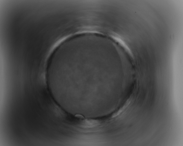 X0000092251312200709211054