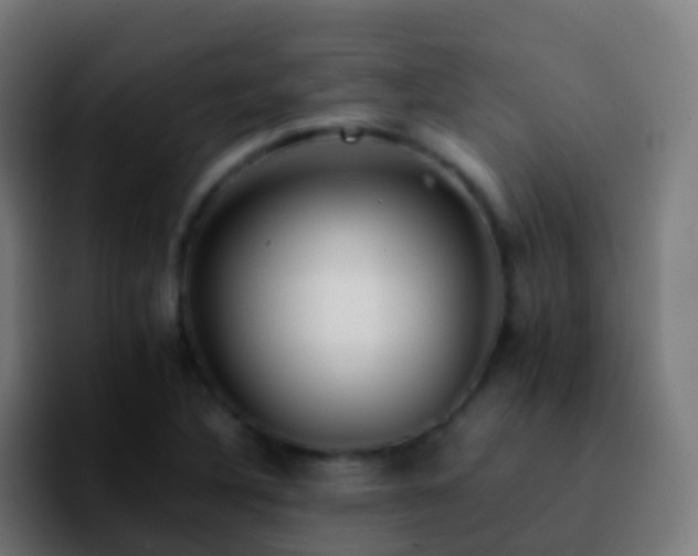 X0000092251316200709211054