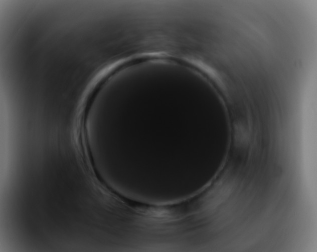 X0000092251319200709211054