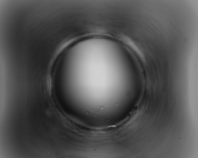 X0000092251320200709211054