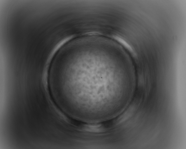 X0000092251325200709211054