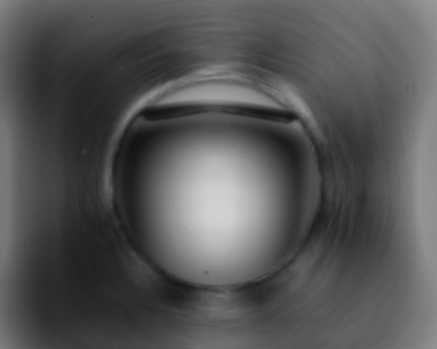 X0000092251328200709211054