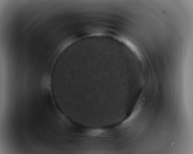 X0000092251329200709211054