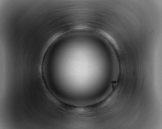 X0000092251330200709211054