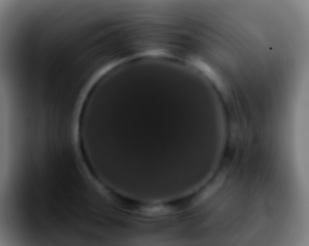 X0000092251331200709211054