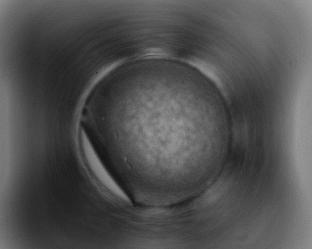 X0000092251333200709211054
