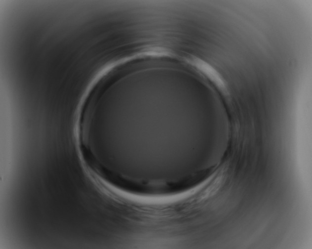 X0000092251334200709211054